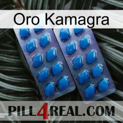 Kamagra Gold viagra2